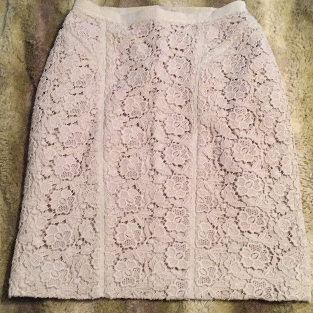 Ann Taylor pencil skirt